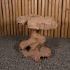  Product image 12 of the product “Table with abstract legs made of teak wood about 35cm height ”